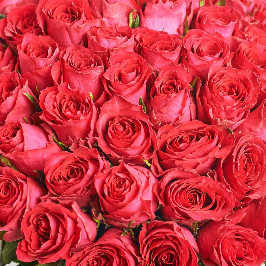 Product image Bouquet of 101 Ruspberry Roses, vendor code: 4009