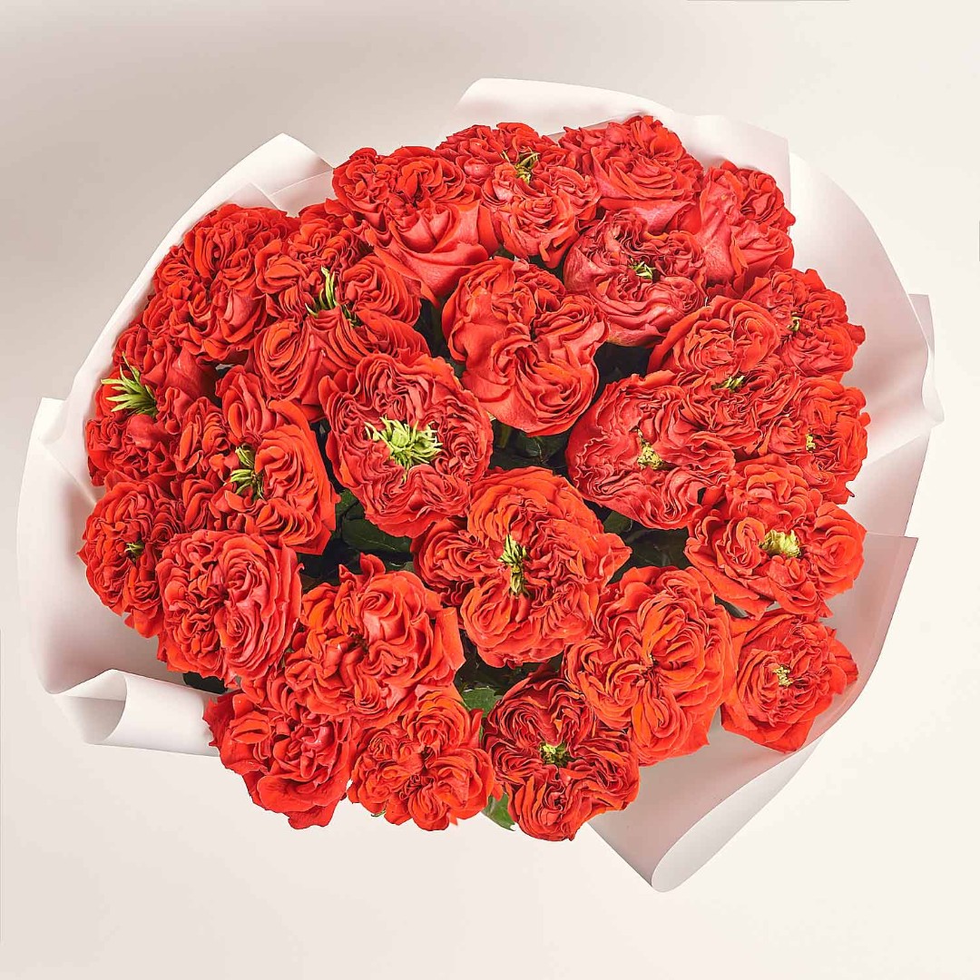 Product image Bouquet 25 Red Peony Roses, vendor code: 4044