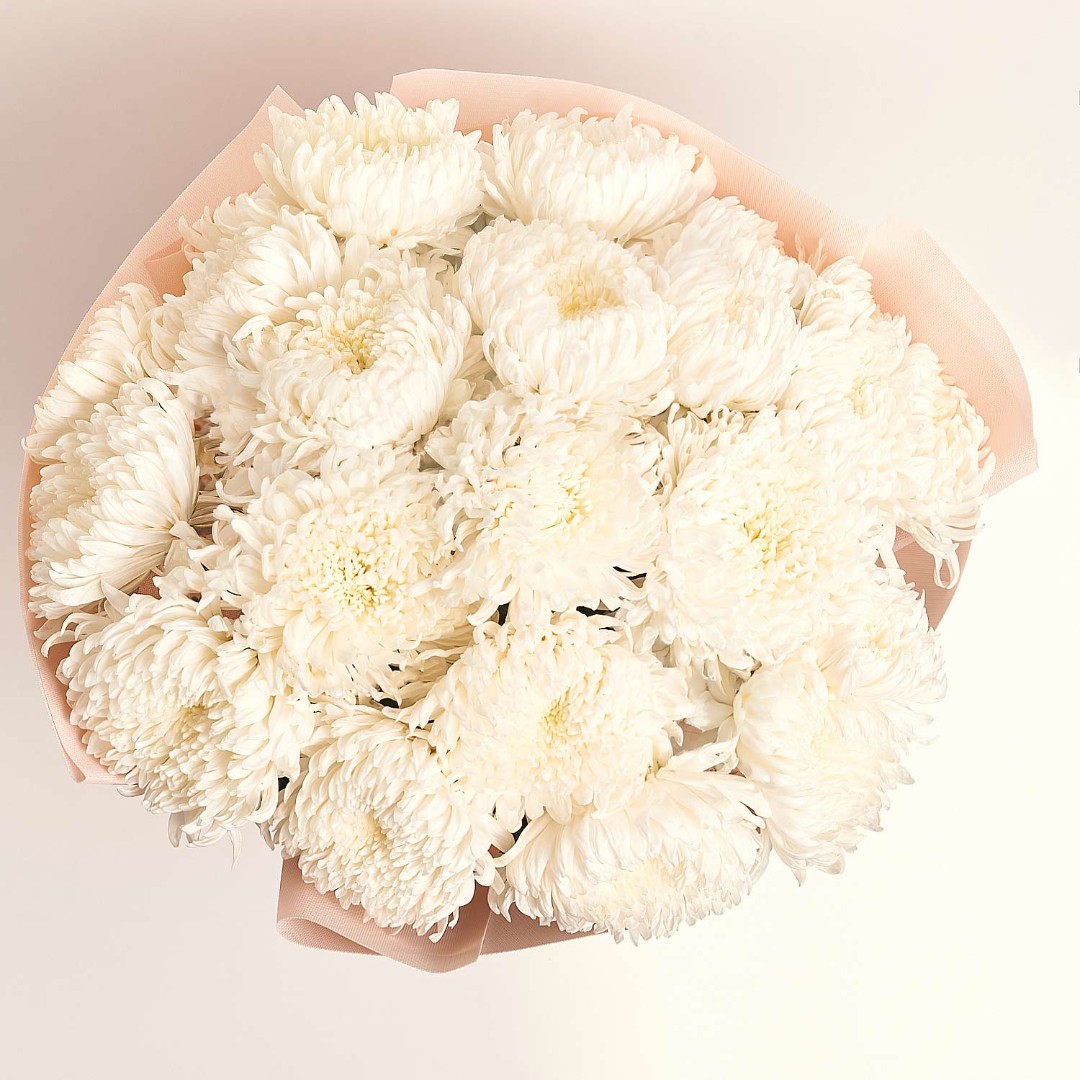 Product image Bouquet of 25 White Single button Chrysanthemums, vendor code: 4048