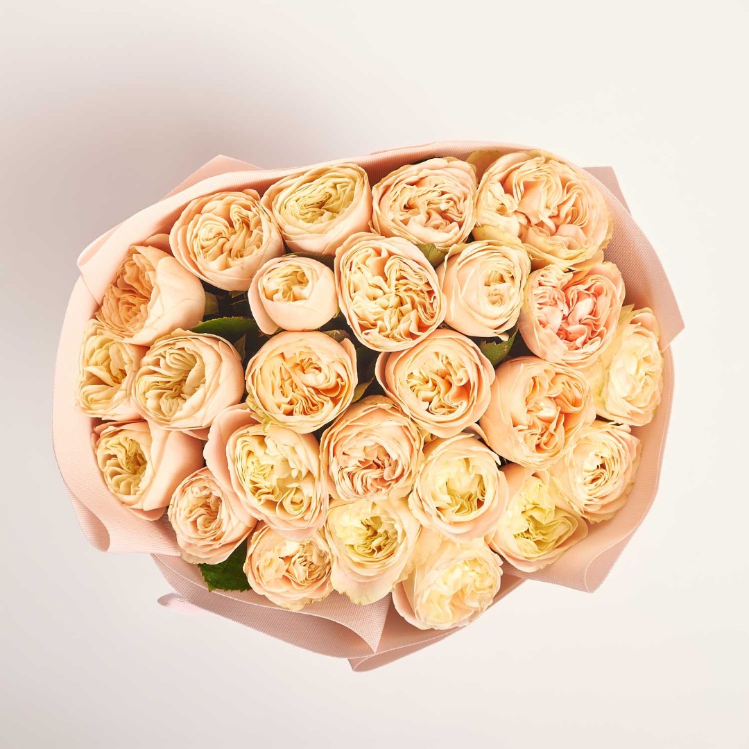 Product image Bouquet of 25 Cream peony Roses, vendor code: 4050