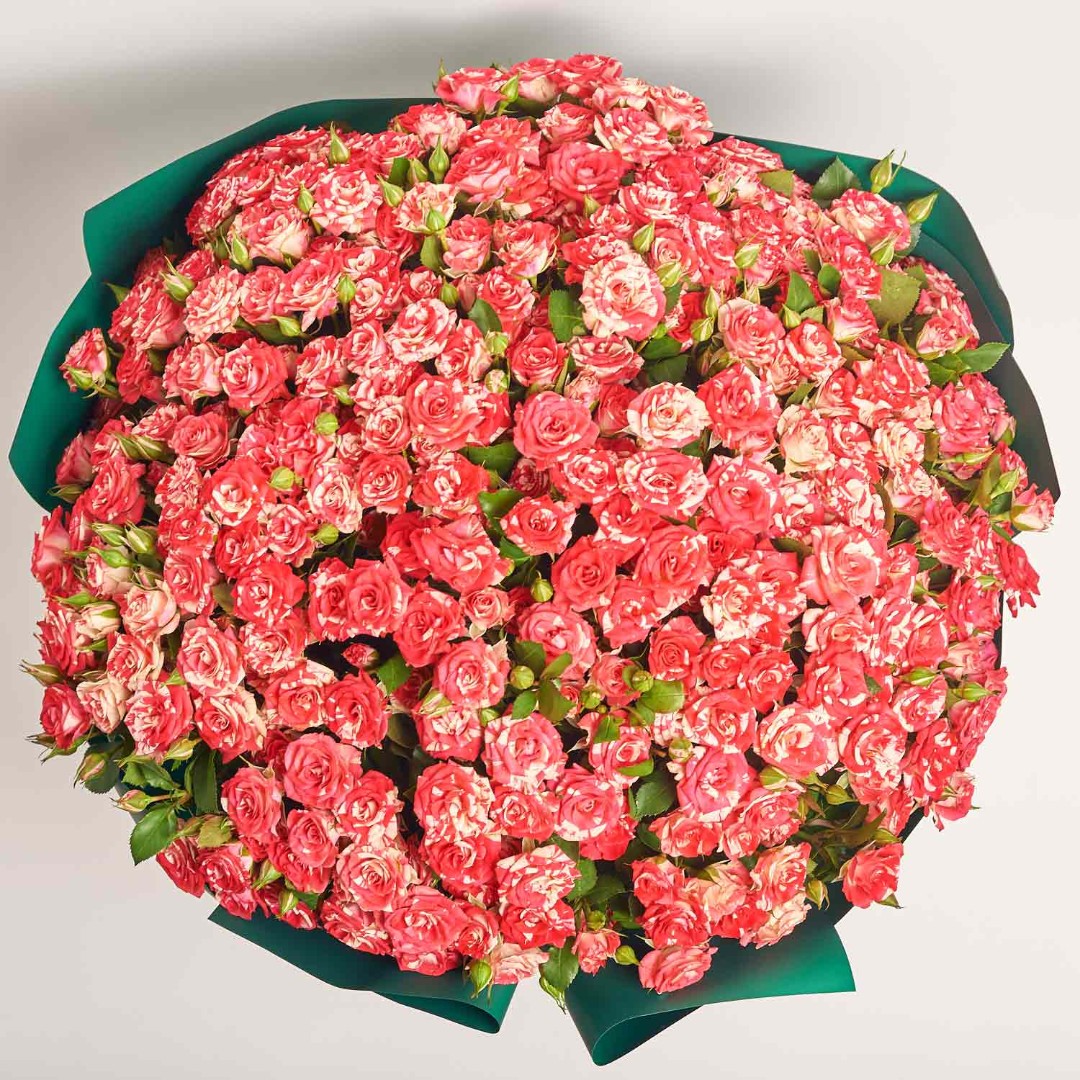 Product image Bouquet of 51 Spray roses Fireworks, vendor code: 4056