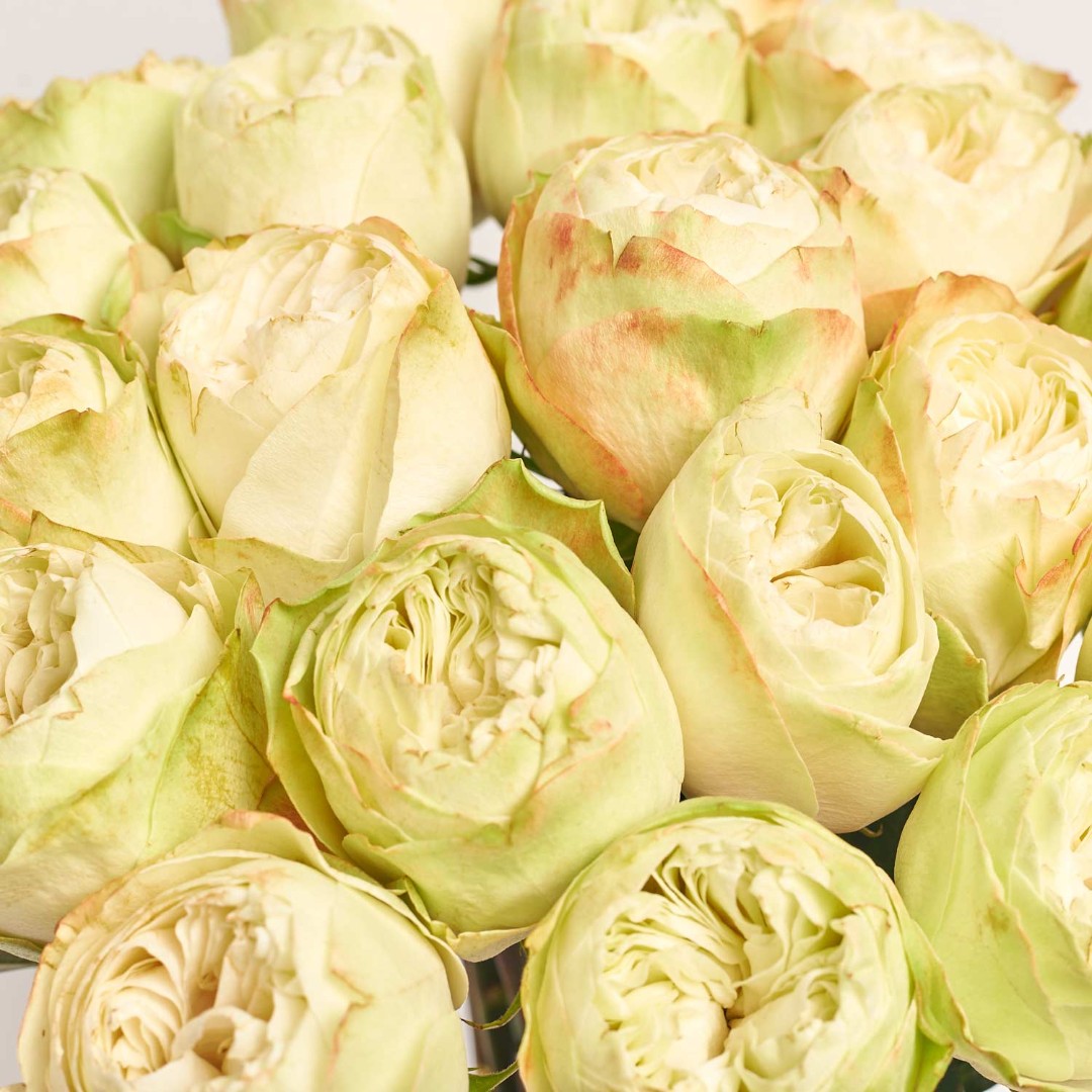 Product image Bouquet of 25 Peony Roses Khela, vendor code: 4064