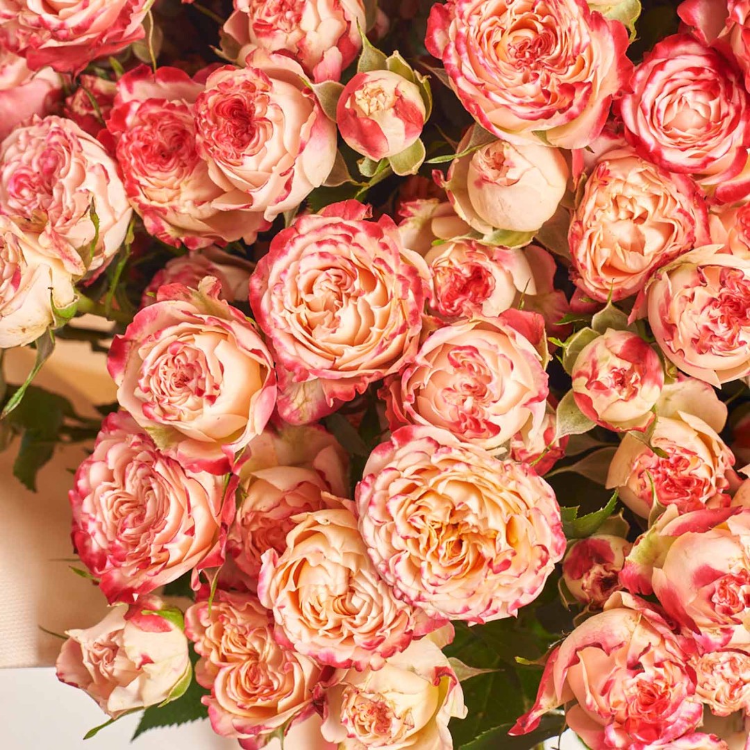 Product image Bouquet of 25 Roses Sunset Magic, vendor code: 4076