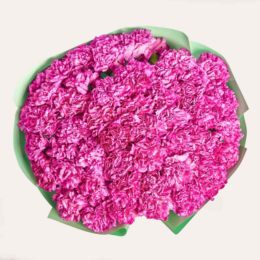 Product image Bouquet of 51 Purple Carnations, vendor code: 4087
