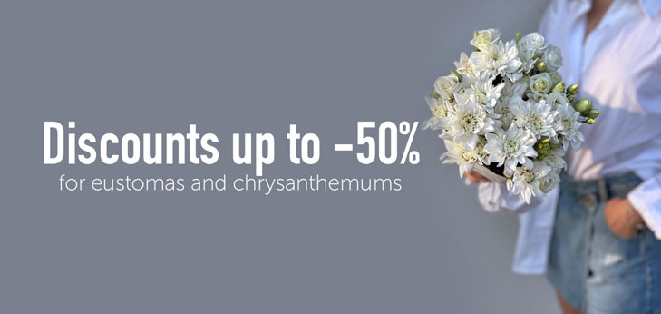 Discounts up to -50% for eustomas and chrysanthemums